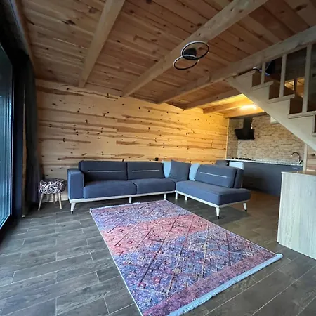 Masarona 4 Nolu 2 Odali Dag Evi *